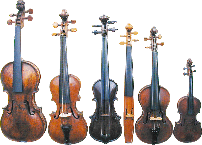 Click on each violin to see details